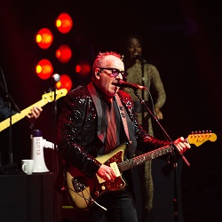 Elvis Costello today in music history