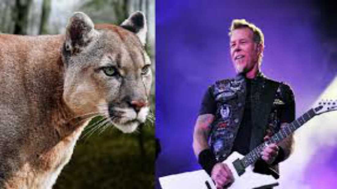 &Tau;&rho;&omicron;&mu;ά&zeta;&epsilon;&iota; &pi;&omicron;ύ&mu;&alpha; &pi;&alpha;ί&zeta;&omicron;&nu;&tau;&alpha;&sigmaf; Metallica